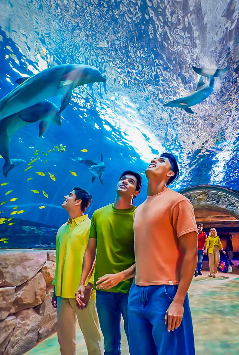 SeaWorld Abu Dhabi — photo 4 of 7